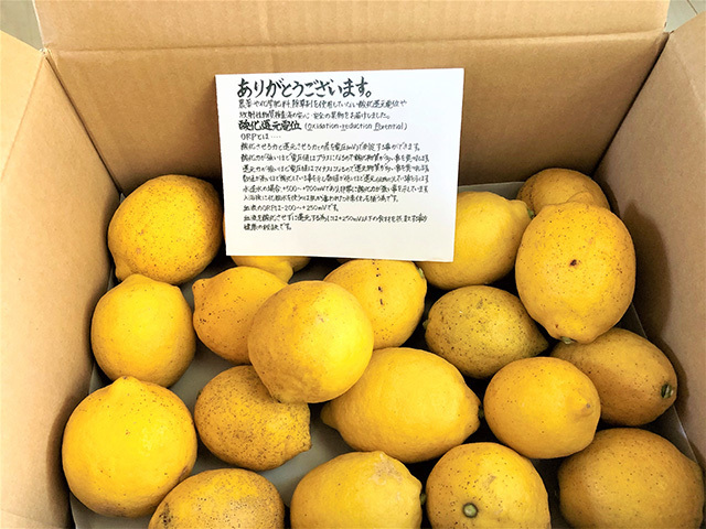 富士市ヨガスタジオ・ヨガパーソナルトレーニングのオリヴィンがおすすめする健康づくりのための食事について秋の「レモン」